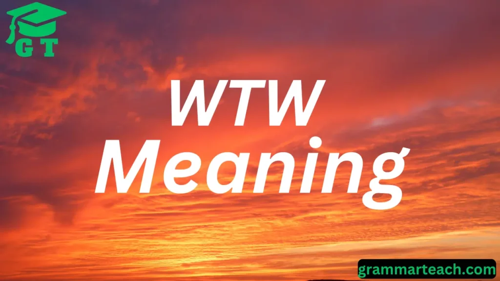 meaning of wtw

