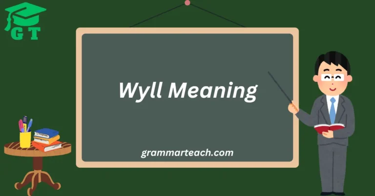 wyll meaning