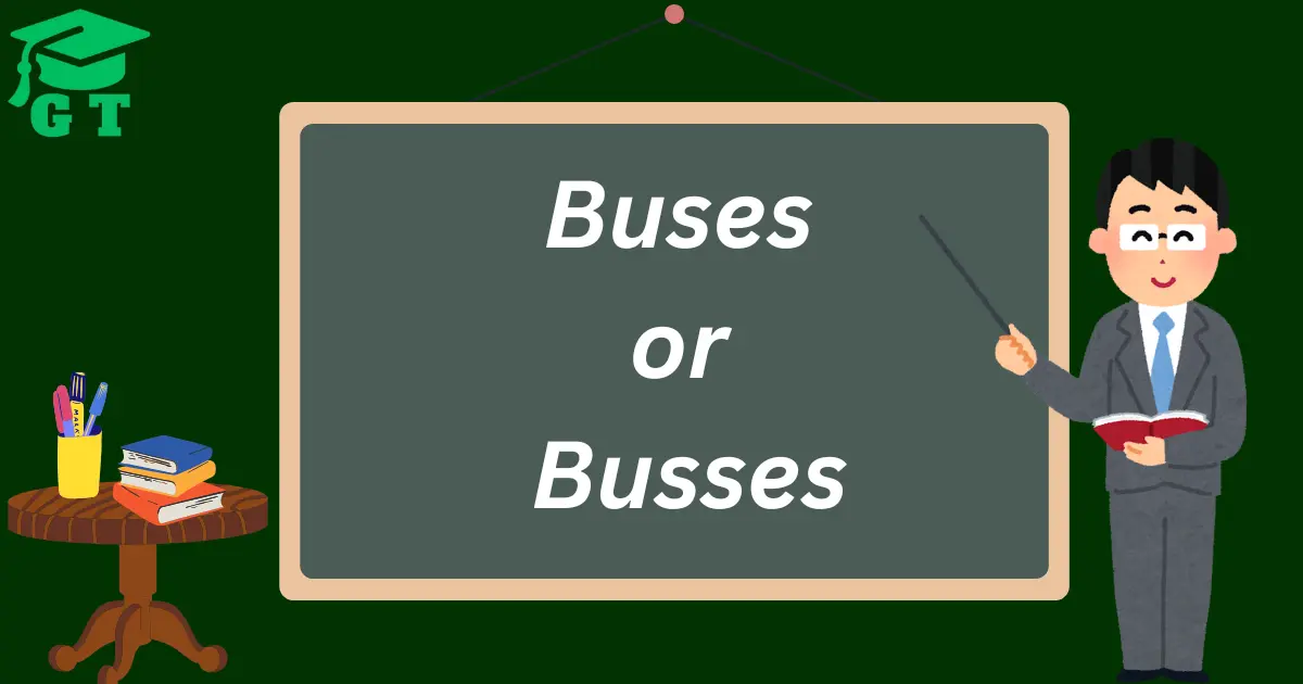 buses or busses