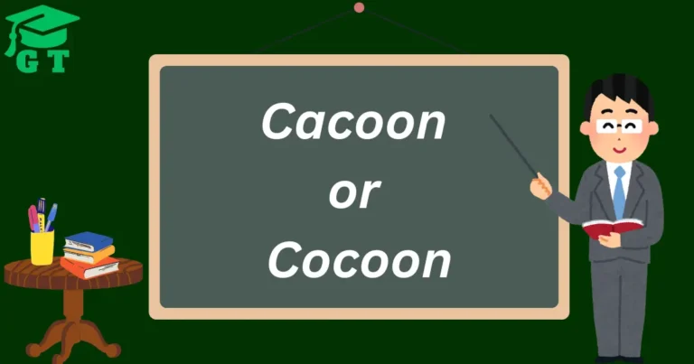 cacoon or cocoon