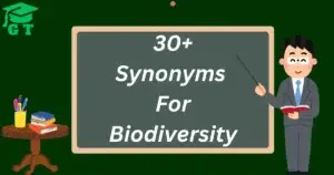 synonyms for biodiversity