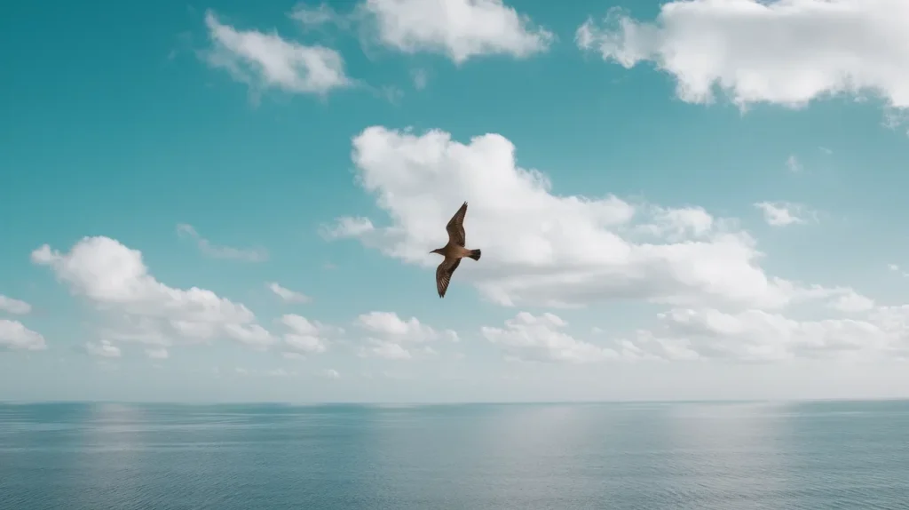 Alone like a bird without a flock