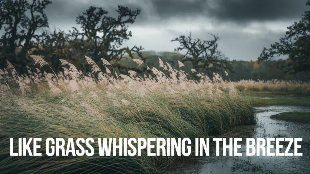 Like Grass Whispering in the Breeze