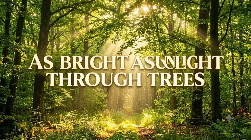 As Bright as Sunlight Through Trees