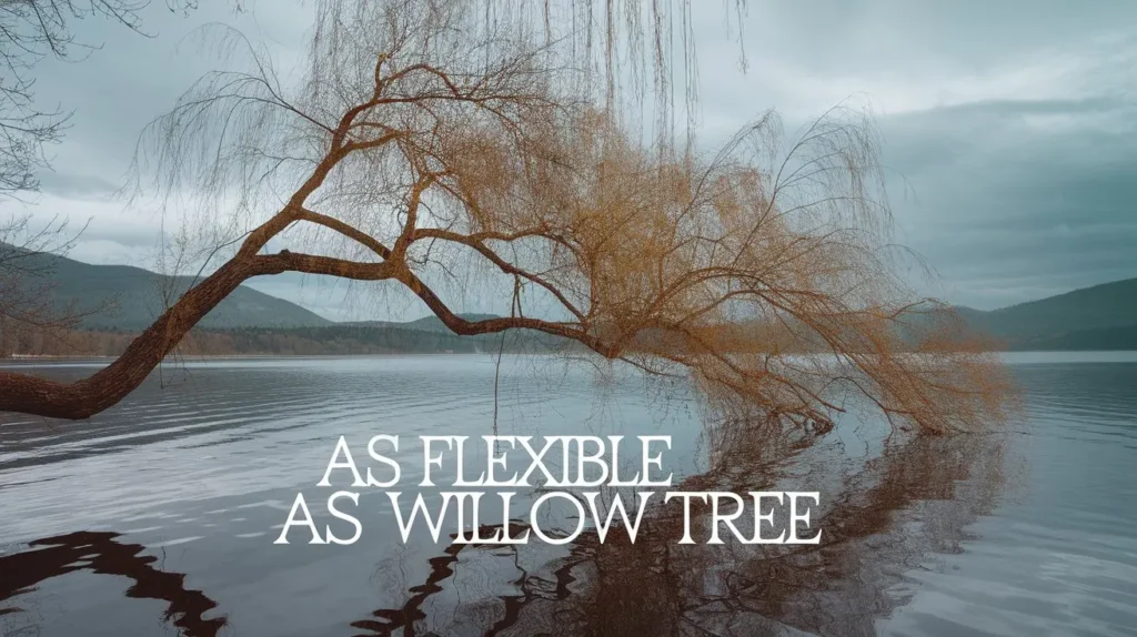As Flexible as a Willow Tree