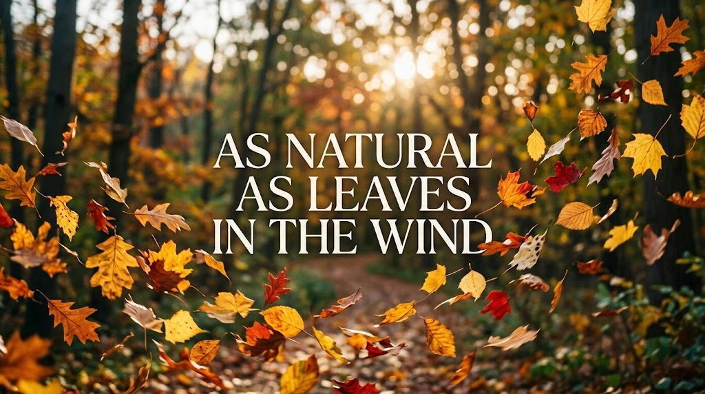 As Natural as Leaves in the Wind