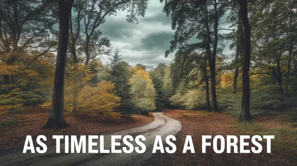 As Timeless as a Forest