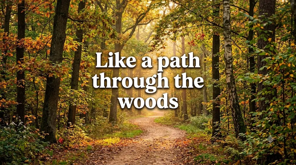 Like a path through the woods