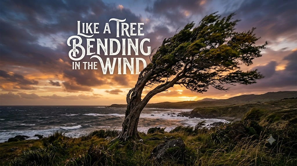 Like a tree bending in the wind