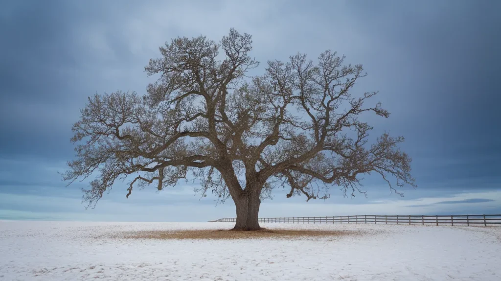 Sad as a tree waiting for spring
