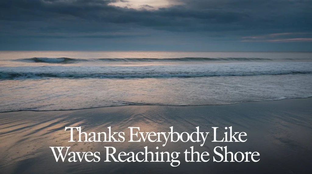 Thanks Everybody Like Waves Reaching the Shore